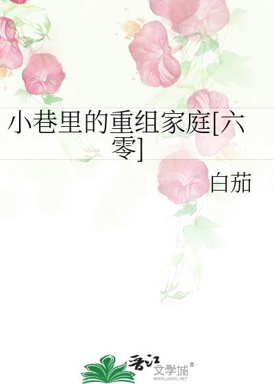 小巷的房子