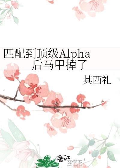 匹配到顶级Alpha后马甲掉了by其西礼