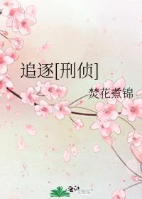 追逐免费阅读