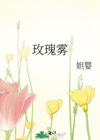 玫瑰雾全文阅读