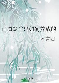 正道魁首是如何养成的TXT
