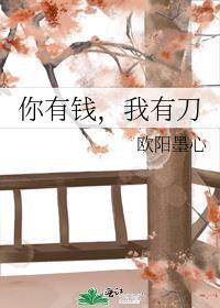 你有钱我有刀百度txt
