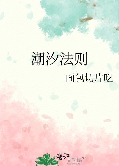 潮汐法则免费阅读