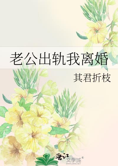 老公出轨我离婚与君折枝