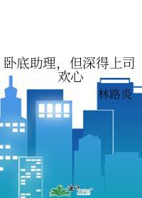 卧底ii