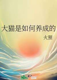 大猫怎么样