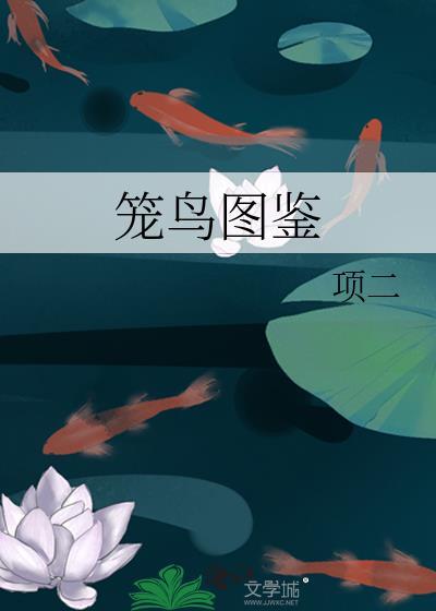 笼鸟图鉴by项二