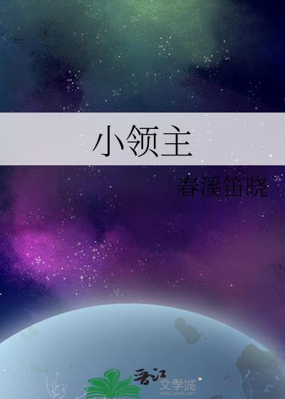 小领主无错版