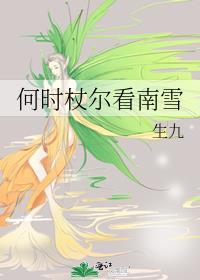 何时杖尔看南雪原诗