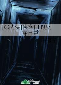 综武侠侠客们的反穿日常免费阅读