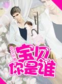 宝贝你是谁百度