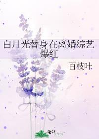 白月光替身在离婚综艺爆红晋江