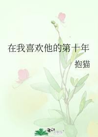 在我喜欢他的第十年讲的什么
