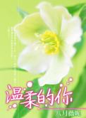 温柔的你王杰林忆莲