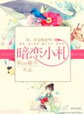 小暗恋免费阅读