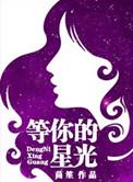 等你的星光茴笙百度
