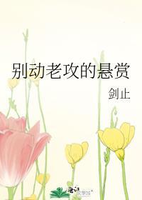 别动老攻的悬赏by剑止