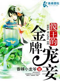 傻王宠妃无度免费阅读