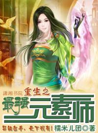 重生之最强元素师TXT下书网