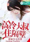 高冷大叔别乱来