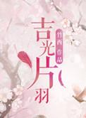 吉光片羽现代意思