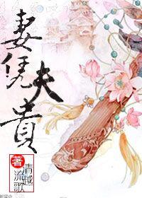 妻凭夫贵清越流歌txt书包网