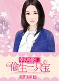 幸孕宠妻一胎三宝