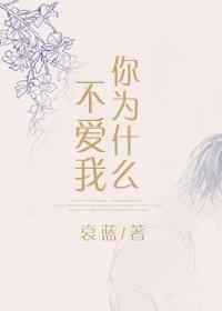 你为什么不爱我免费阅读