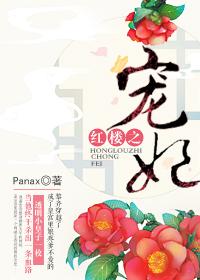 红楼之宠女如宝txt
