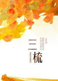 三梳免费阅读无弹窗