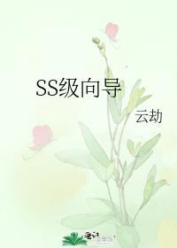 ss级向导和哨兵
