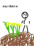 我在60年代种大米