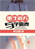 重生渣夫与学霸妻未删减版