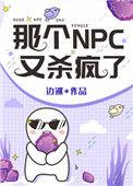 那个npc他又杀疯了