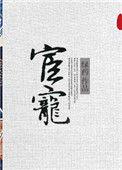 宦宠讲的什么