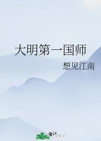 大明第一国师作者想见江南