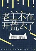 老王不在开荒去了txt全本