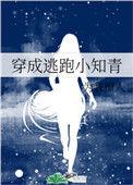 穿成逃跑小知青书包网