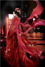 我把公司当成后宫