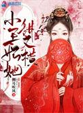 小王妃又被揍啦相关