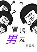 冒牌男友电视剧