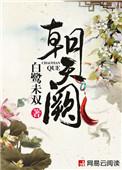 待收拾旧山河 朝天阙