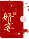 二嫁娇妾by半溪茶讲什么