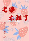 老婆太甜了长佩