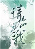 请你在意我玉