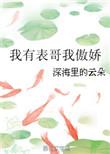 我有表哥我傲娇停更了吗