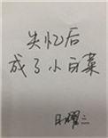 失忆以后成了小白菜