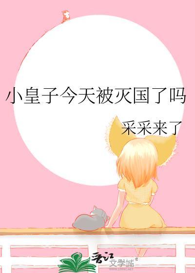 小皇子今天被灭国了吗笔趣阁