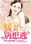 总裁追妻路漫漫