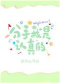 分手我是认真的! 耿其心免费阅读
